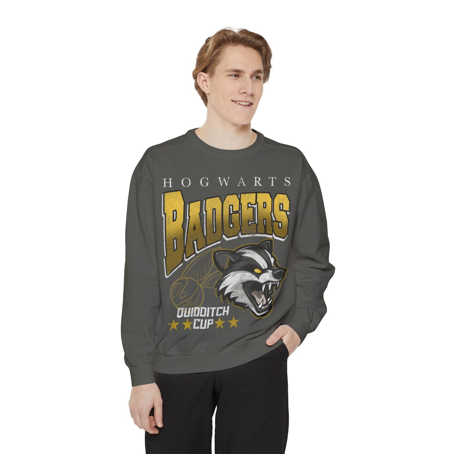 Badgers House Cup Crewneck
