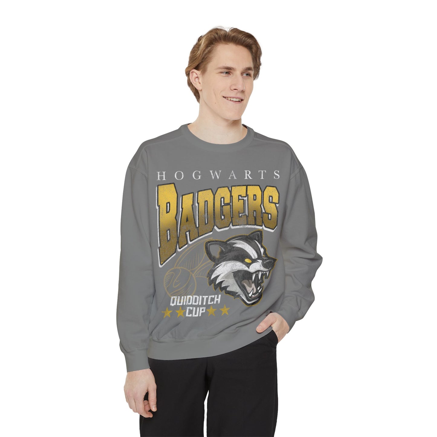 Badgers House Cup Crewneck