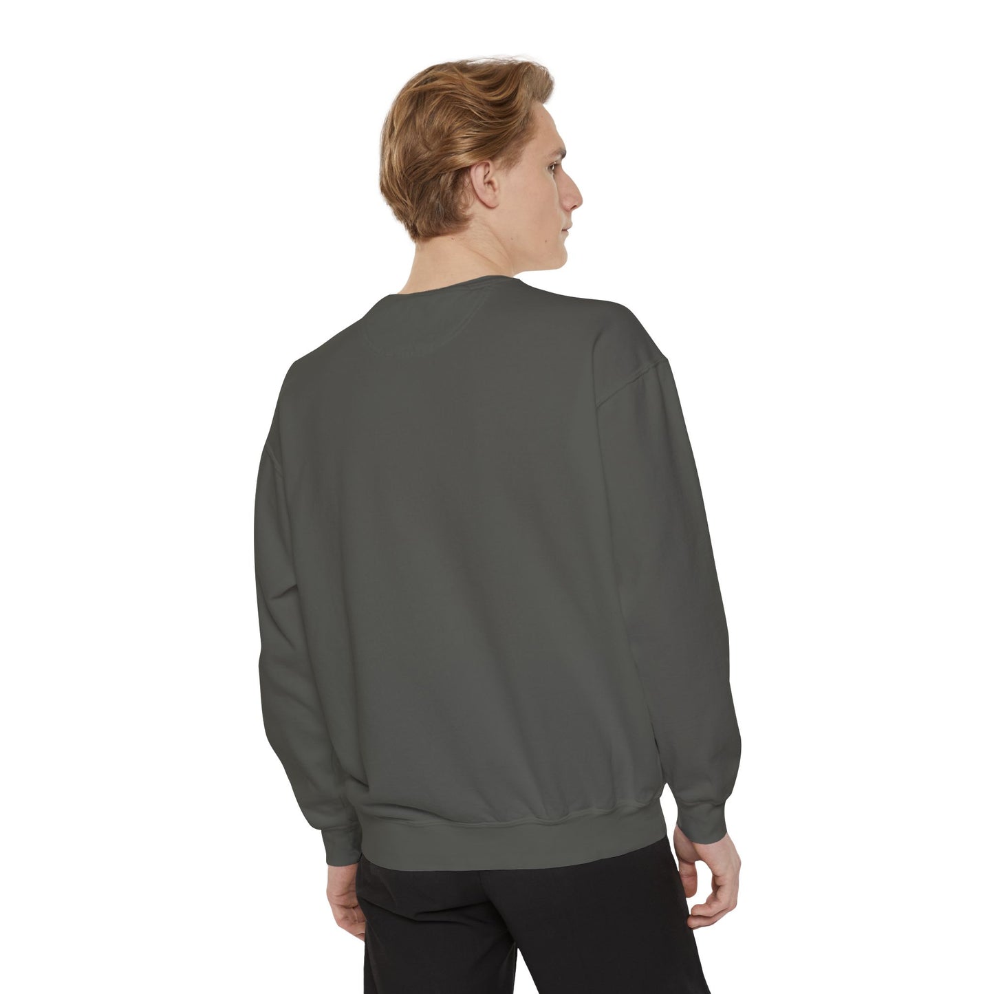 Badgers House Cup Crewneck