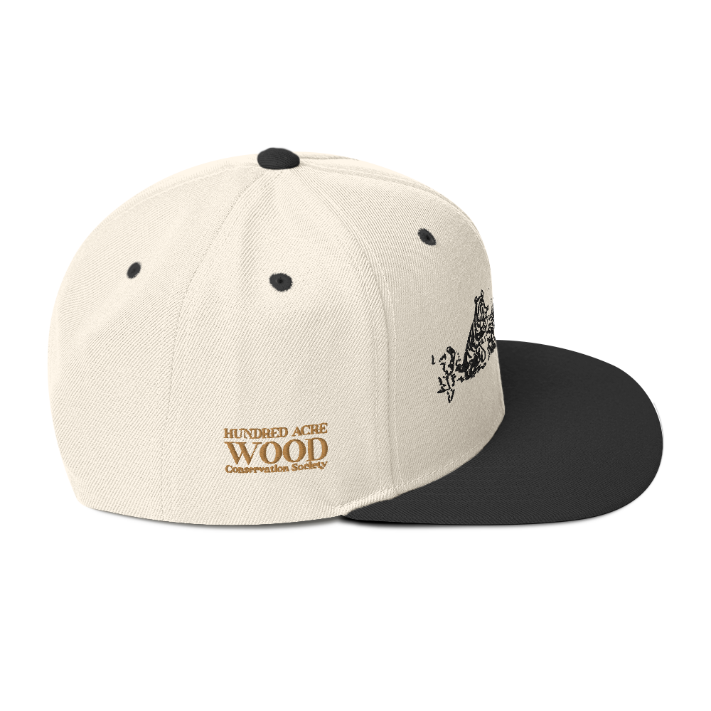 Hundred Acre Wood Snapback Hat