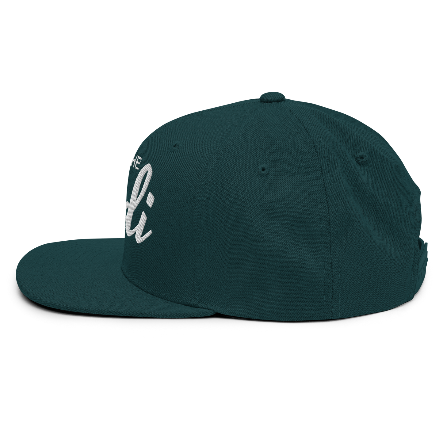 Join the Jedi Vintage Snapback Hat