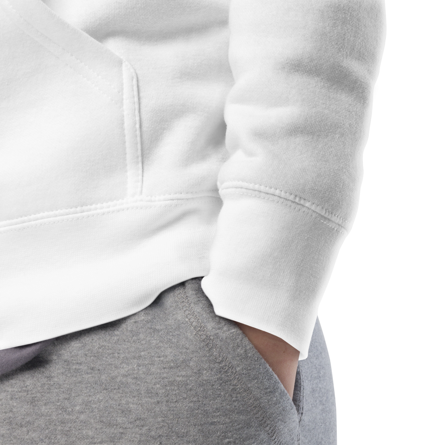 The North Mountain Embroidered Hoodie