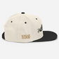 Hundred Acre Wood Snapback Hat
