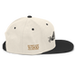 Hundred Acre Wood Snapback Hat